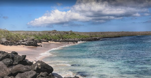 Galapagos - uberørt hjørne af mangfoldighed