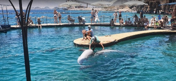 Le migliori spiagge in Israele