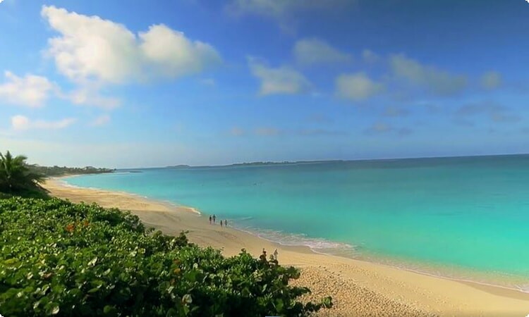 Cabbage beach