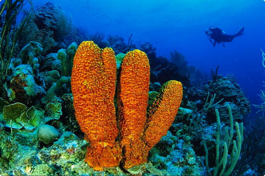 Los Roques National Park