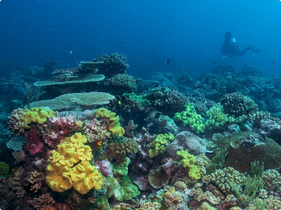 The Great Barrier Reef, Australia