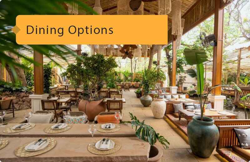 Dining Options