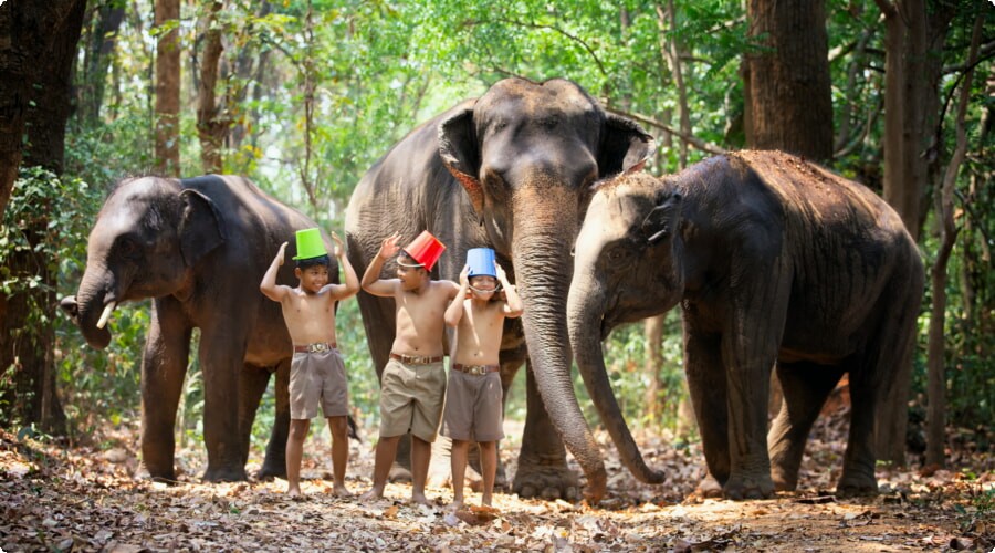 Bringing Kids to Thailand's Elephant Sanctuaries